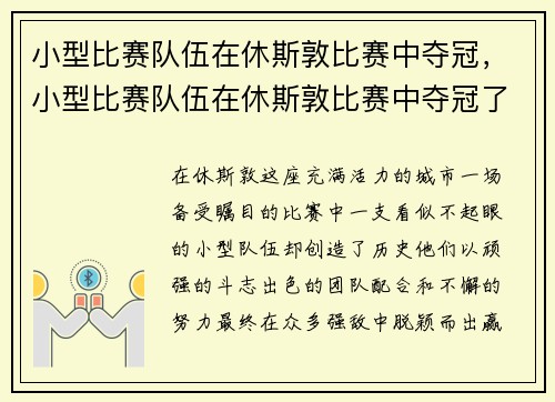 小型比赛队伍在休斯敦比赛中夺冠，小型比赛队伍在休斯敦比赛中夺冠了吗