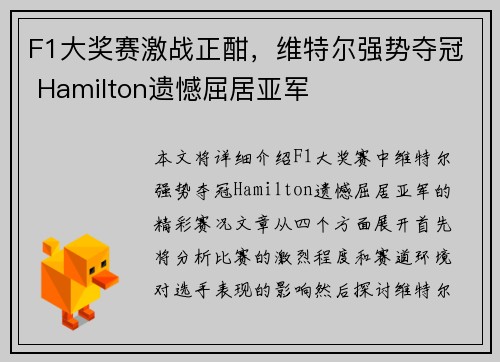 F1大奖赛激战正酣，维特尔强势夺冠 Hamilton遗憾屈居亚军